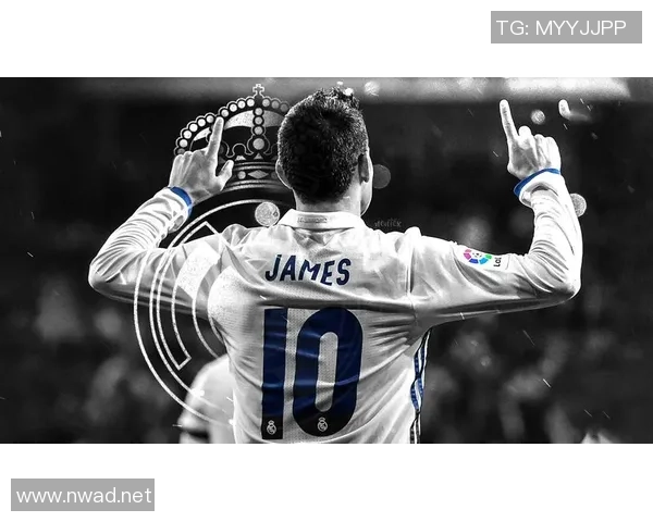 黑哨足球明星名字全解析揭示背后的秘密与故事