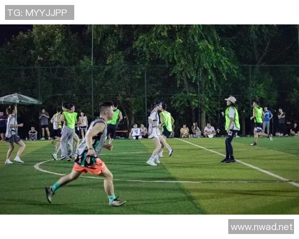 从零开始：飞盘个人能力完全攻略_1