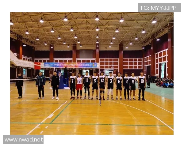 排球热点：解读西安排球队的中路突破